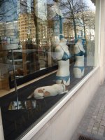 vitrine et chen 1 {JPEG}