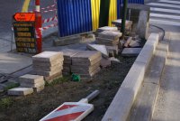 Protégeons l'Arbre à voeux des habitants 