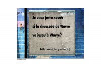 Petite phrase de la palissade