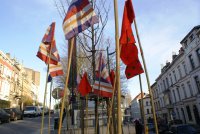Des drapeaux pour protéger l'arbre (Photo N Bernard) {JPEG}