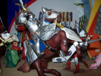 L'un des chevaliers de la maison.