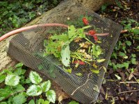 Le piège à limaces. N.M.