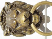 Un lion chaussée Saint-Pierre