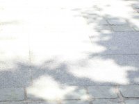 Les pavés de la place Jean Rey, sous le soleil