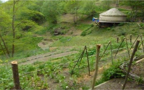 La yourte de Léa et Tom