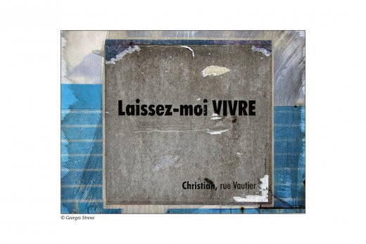 Petite phrase de la palissade